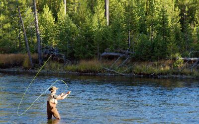 What You Should Know About Fly Fishing